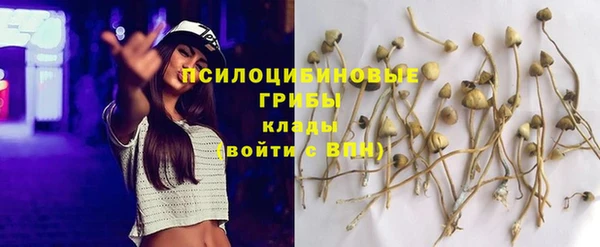 первитин Балахна