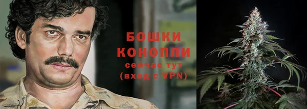 эйфоретик Белокуриха