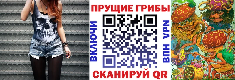 сколько стоит  Вихоревка  Псилоцибиновые грибы Psilocybine cubensis 